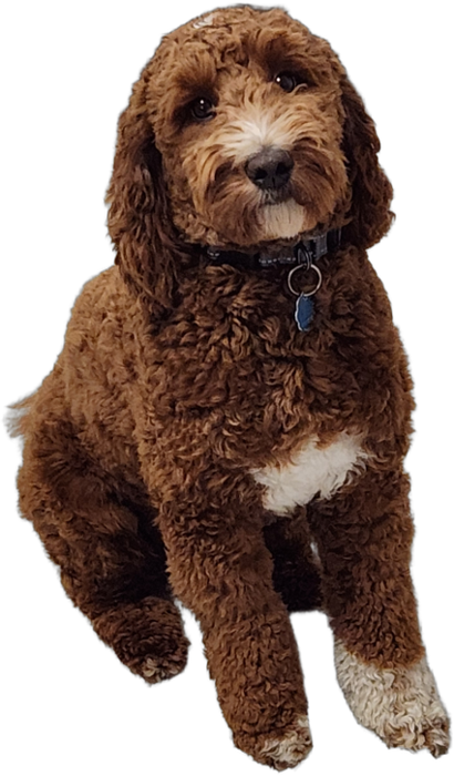 Milo